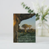 Quiver Tree Forest, Namibia Postcard Postkarte (Stehend Vorderseite)