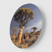 Quiver Trees (Aloe Dichotoma) Große Wanduhr (Winkel)