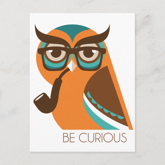 Quizik Owl Postkarte (Vorderseite)