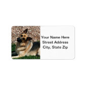 Quizzical German Shepherd Adressaufkleber (Vorne)