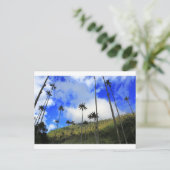 Qunidio-Wachpalmen im Cocora-Tal Kolumbiens Postkarte (Stehend Vorderseite)