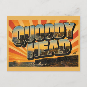 Quoddy Head Maine Vulkanische Klippen Ozean Moor K Postkarte