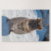 Quokka am Strand, 1014 Stück Puzzle (Horizontal)