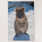 Quokka am Strand, 1014 Stück Puzzle (Vertikal)