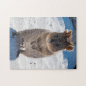 Quokka am Strand, 252 Stück Puzzle (Horizontal)
