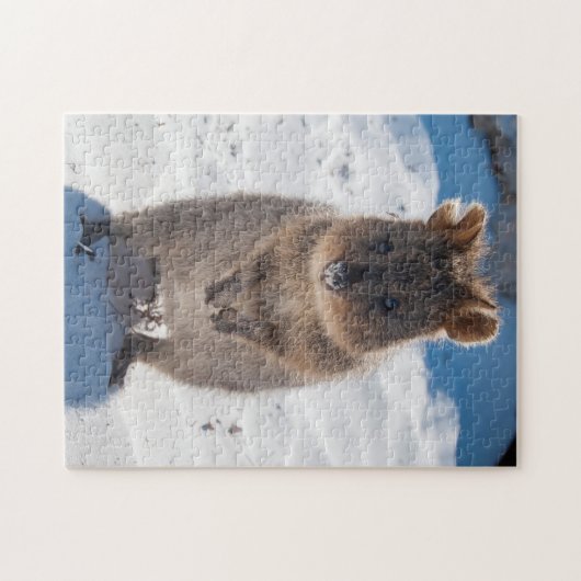 Quokka am Strand, 252 Stück Puzzle (Horizontal)