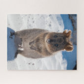 Quokka am Strand, 520 Stück Puzzle (Horizontal)
