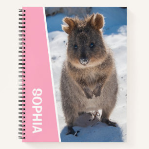 Quokka am Strand Australien, Mädchen mit rosa Akze Notizblock