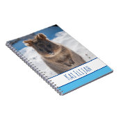 Quokka am Strand, Blue Boys Notizblock (Rechte Seite)