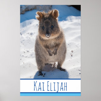 Quokka auf Beach Australia Blue Boys Poster