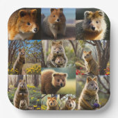 "Quokka Chronicles: Eine herzerwärmende FotoCollag Pappteller (Vorderseite)