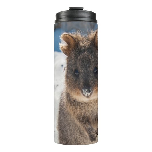 Quokka - Cute Animal on the Beach Australia Blue Thermosbecher (Vorderseite)
