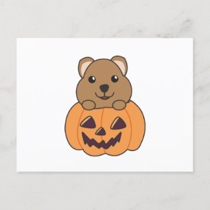 Quokka in Pumpkin Niedlichen Quokkas glückliche Ha Postkarte