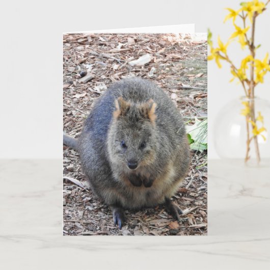Quokka Karte (Gelbe Blume)