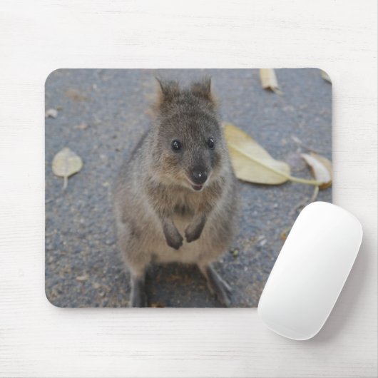 Quokka-Maus-Pad Mousepad (Mit Mouse)