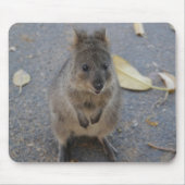 Quokka-Maus-Pad Mousepad (Vorne)