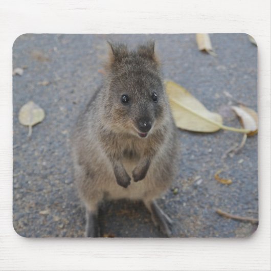 Quokka-Maus-Pad Mousepad (Vorne)