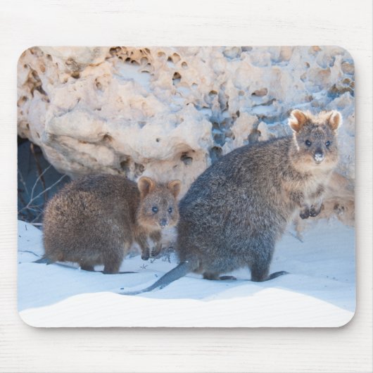 Quokka Mousepad (Vorne)