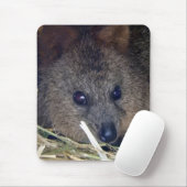 Quokka Mousepad (Mit Mouse)