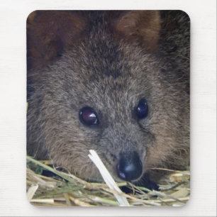 Quokka Mousepad