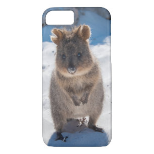 Quokka Niedliches kleines Tier am Strand Australie Case-Mate iPhone Hülle
