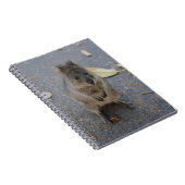 Quokka-Notebook Notizblock (Rechte Seite)