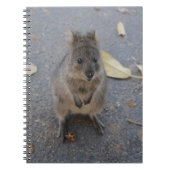 Quokka-Notebook Notizblock (Vorderseite)