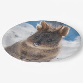 Quokka on the beach Australia, Cute Animal Photo Pappteller (Schrägansicht)