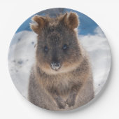 Quokka on the beach Australia, Cute Animal Photo Pappteller (Vorderseite)