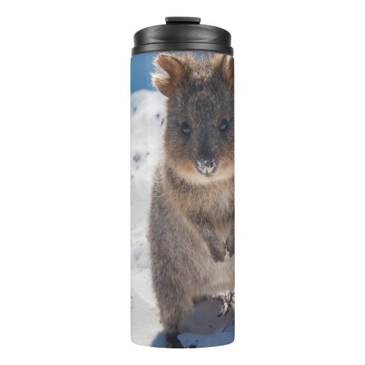 Quokka on the Beach Australia, Pink Accent Girls Thermosbecher (Vorderseite)