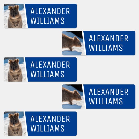 Quokka on the beach Cute Animal Photo Australia Etiketten (Gruppe)