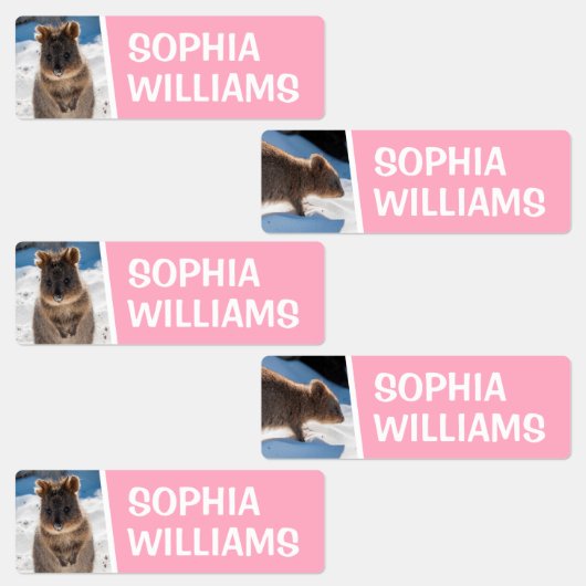 Quokka on the beach Cute Animal Photo Australia Etiketten (Gruppe)