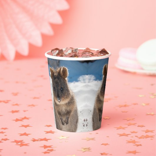 Quokka on the beach in Australia, cute photo Pappbecher (Insitu)