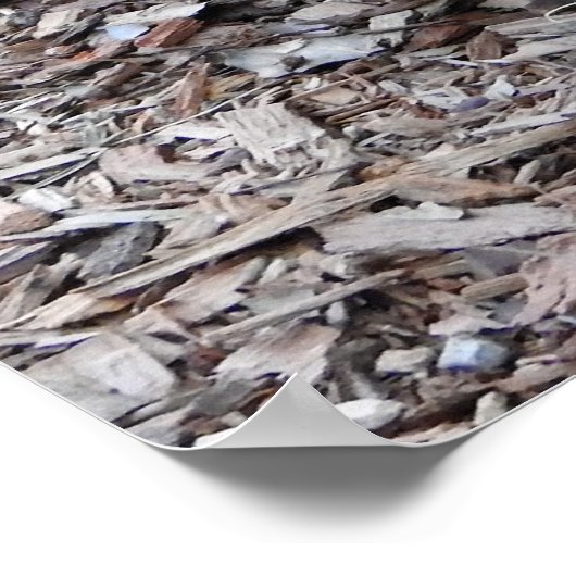 Quokka Poster (Ecke)