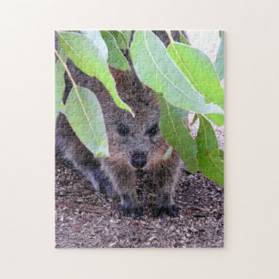 Quokka Puzzle