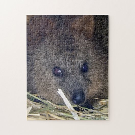 Quokka Puzzle (Vertikal)