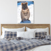Quokka, Rottnest Island, Australien Leinwanddruck (Insitu (Schlafzimmer))