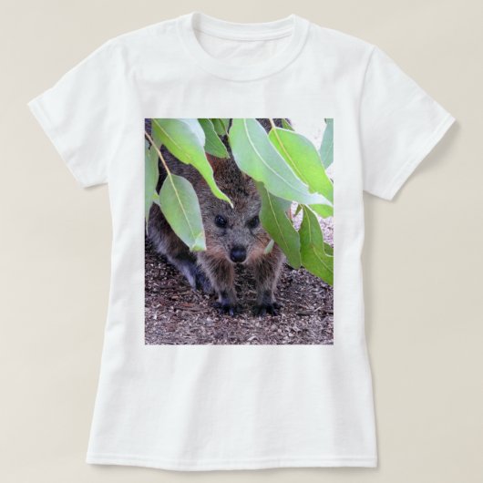 Quokka T - Shirt (Design vorne)