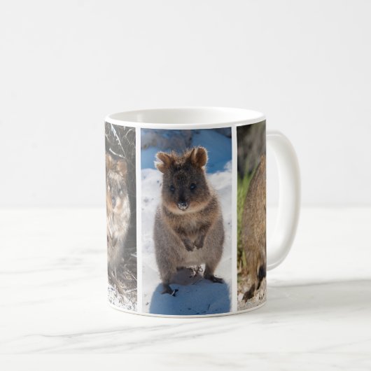Quokkas aus Australien Kaffeetasse (VorderseiteRechts)