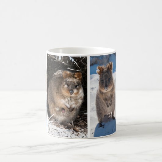 Quokkas aus Australien Kaffeetasse (Mittel)