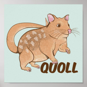 Quoll Australian Marsupial Poster