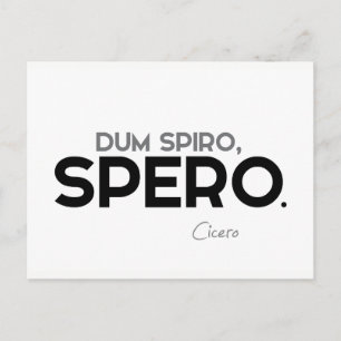 QUOTEN: Cicero: Dum spiro, spero Postkarte