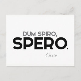 QUOTEN: Cicero: Dum spiro, spero Postkarte
