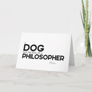 QUOTEN: Plato: Hund, Philosoph Karte