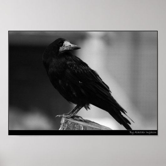 Quoth the Raven Poster (Vorne)