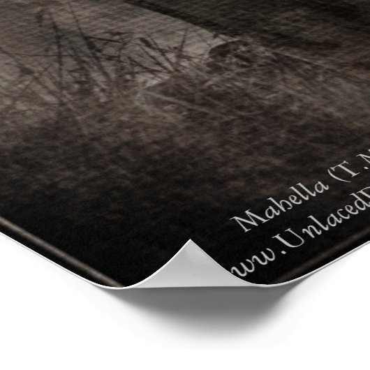 Quoth the Raven Poster (Ecke)