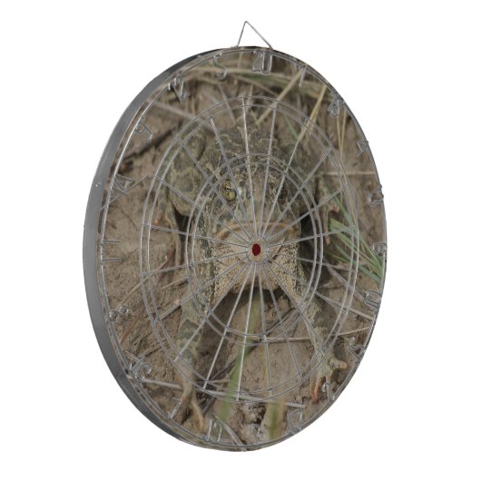 R10 DARTSCHEIBE (Vorderseite Links)