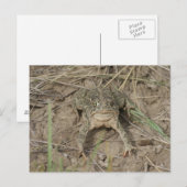 R10 POSTKARTE (Vorne/Hinten)