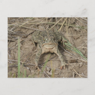 R10 POSTKARTE