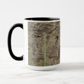 R10 TASSE (Links)